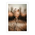Plakat bez ramy 21x30 - Jarzębina w Pejzażu - jesień, gałązka