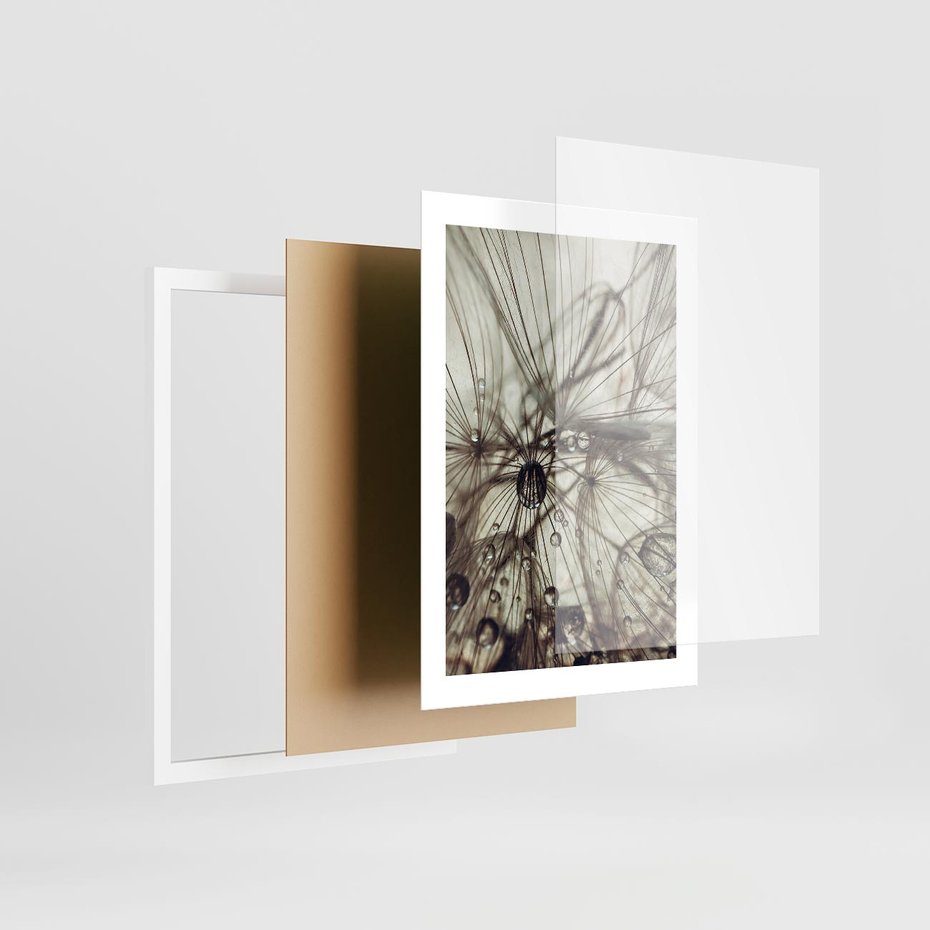 Plakat w ramie 30x40 - Lekkie dmuchawce - dmuchawce, krople - rama biała