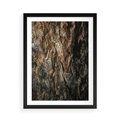 Plakat w ramie 50x70 - Tekstura Drewna: Zbliżenie - zbliżenie na pień drzewa, tekstura - rama czarna