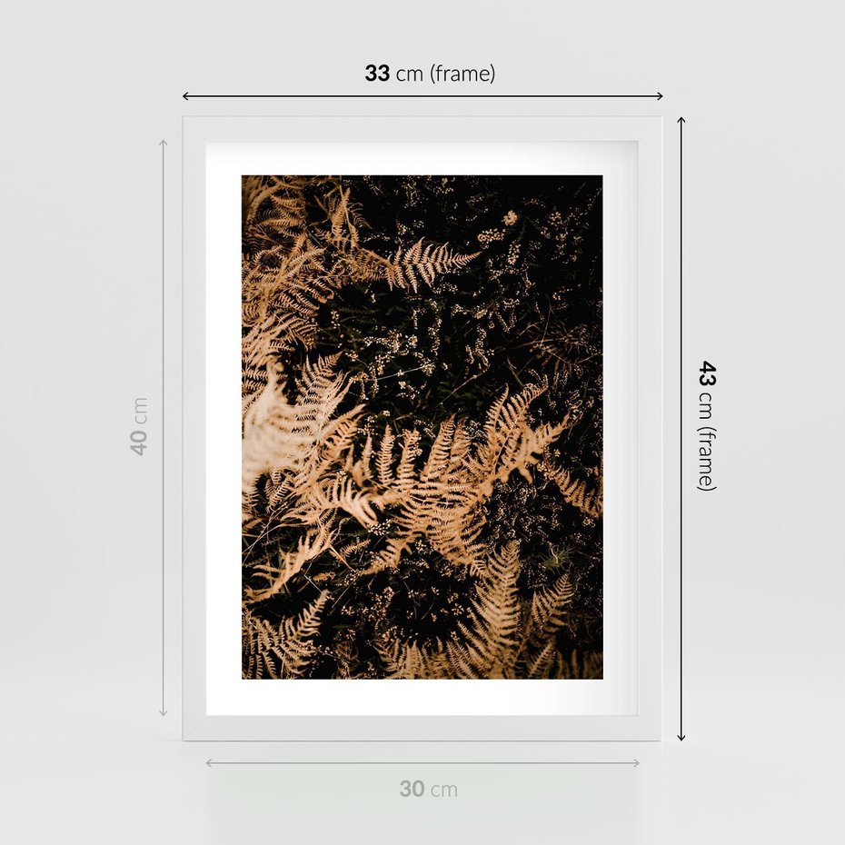 Plakat w ramie 30x40 - Jesienne Paprocie: Kolorowa Paleta Natury - paprocie, jesień - rama biała