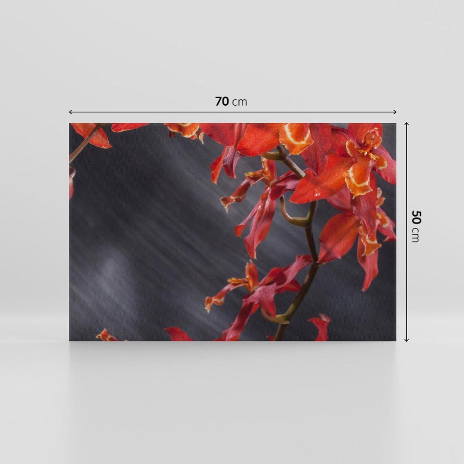 Obraz na płótnie 70x50 - Kolorowy Raj - kwiaty, tropikalne