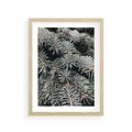Plakat w ramie 30x40 - Zima na Gałęziach - sosnowe gałęzie, igły - rama drewno