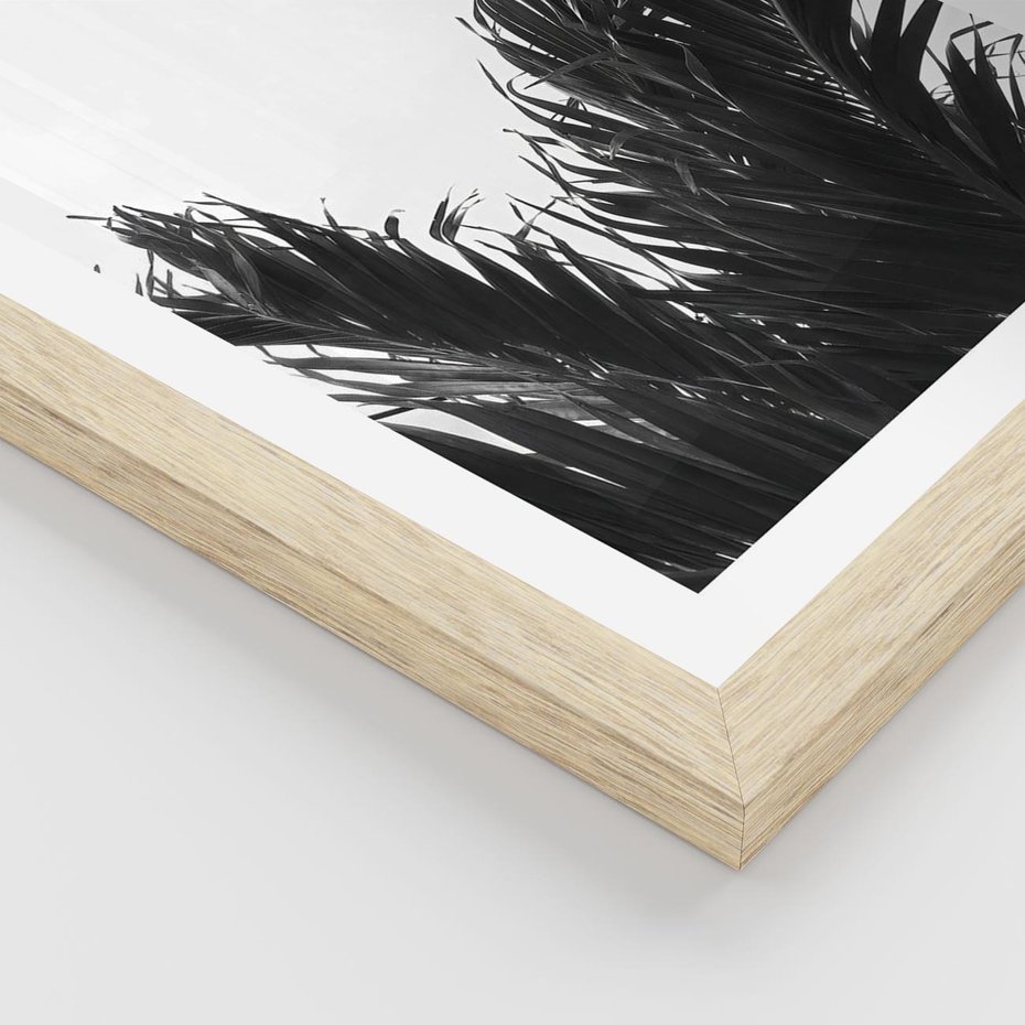 Plakat w ramie 50x70 - Tropikalna Uroda w Czerni i Bieli - fotografia czarno biała, liście palmy - rama drewno