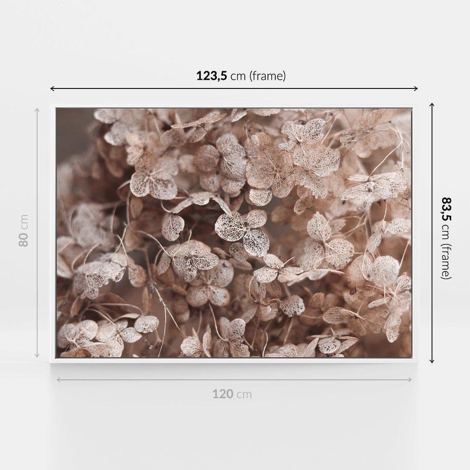 Obraz w ramie 120x80 - Przemijająca Piękność - fotografia, zbliżenie - rama biała