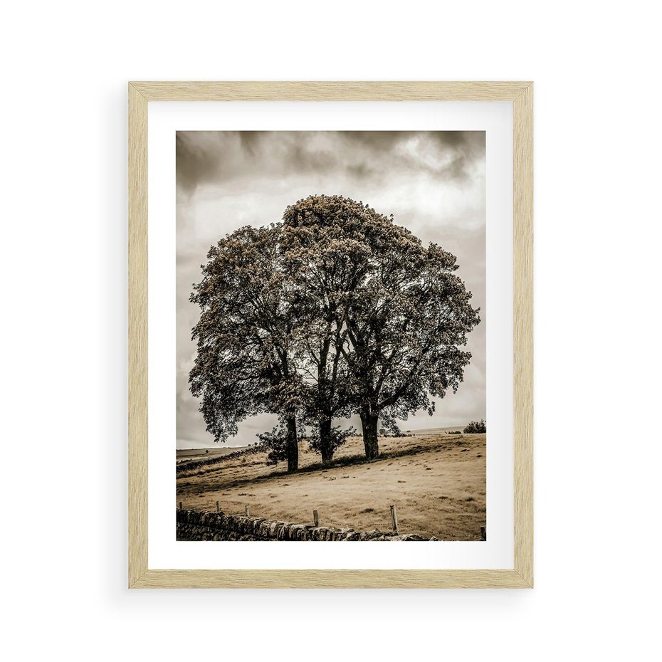 Plakat w ramie 40x50 - Spokojna Osamotniona Chwila - beżowe kolory, samotne drzewo na polu - rama drewno