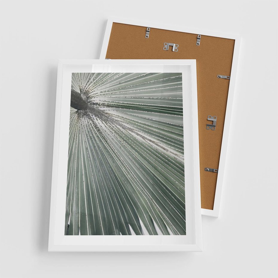 Plakat w ramie 50x70 - Jasnozielony Świat - palma, liść - rama biała