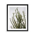 Plakat w ramie 40x50 - Ekskluzywna Roślinność - kaktusy, liście - rama czarna