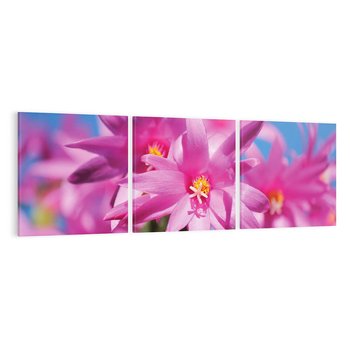 Obraz na płótnie 120x40 - Kwiatowy urok - kwiat, kwiaty