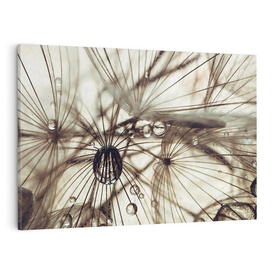 Obraz na płótnie 120x80 - Lekkie dmuchawce - dmuchawce, krople