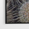 Obraz w ramie 50x50 - Ulotna Piękność Natury - makro, dmuchawce - rama czarna