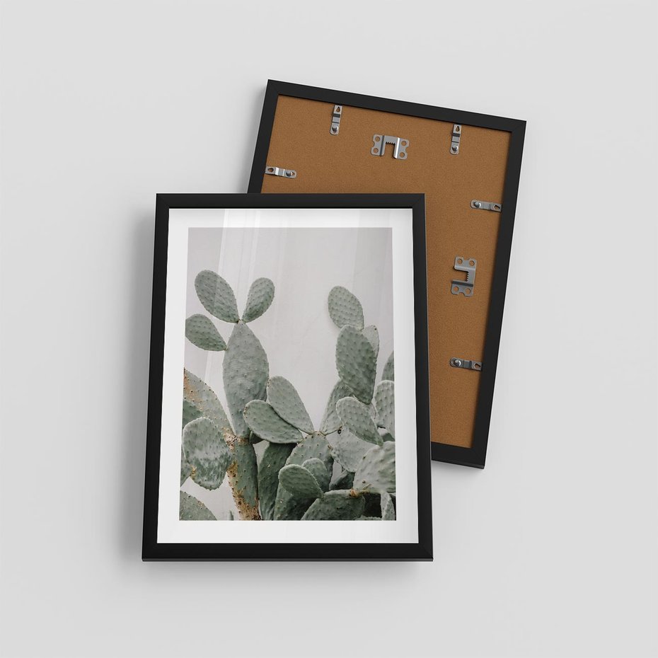 Plakat w ramie 30x40 - Imponujący Kaktus - duży kaktus, opuncja - rama czarna