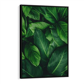 Obraz w ramie 50x70 - Palma Liście Kwiat - palma, liście - rama czarna