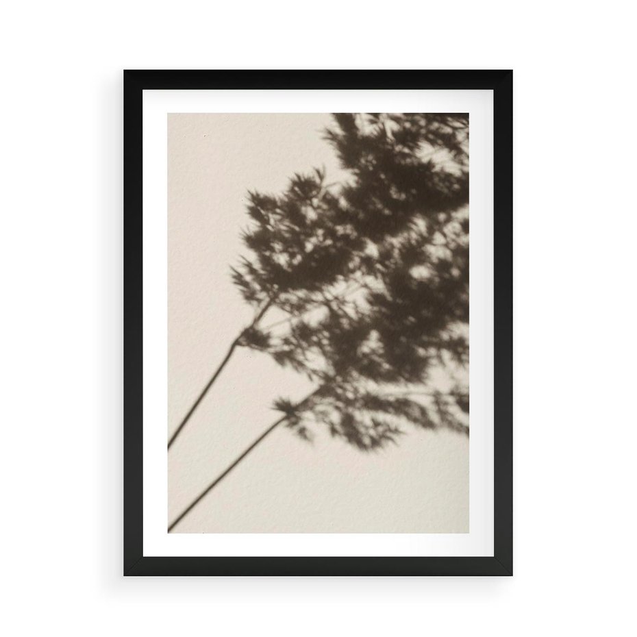 Plakat w ramie 50x70 - Tajemniczy Cień Traw - cień traw, na ścianie - rama czarna