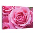 Obraz na płótnie 70x50 - Róża Wspaniałości - róża, kwiat