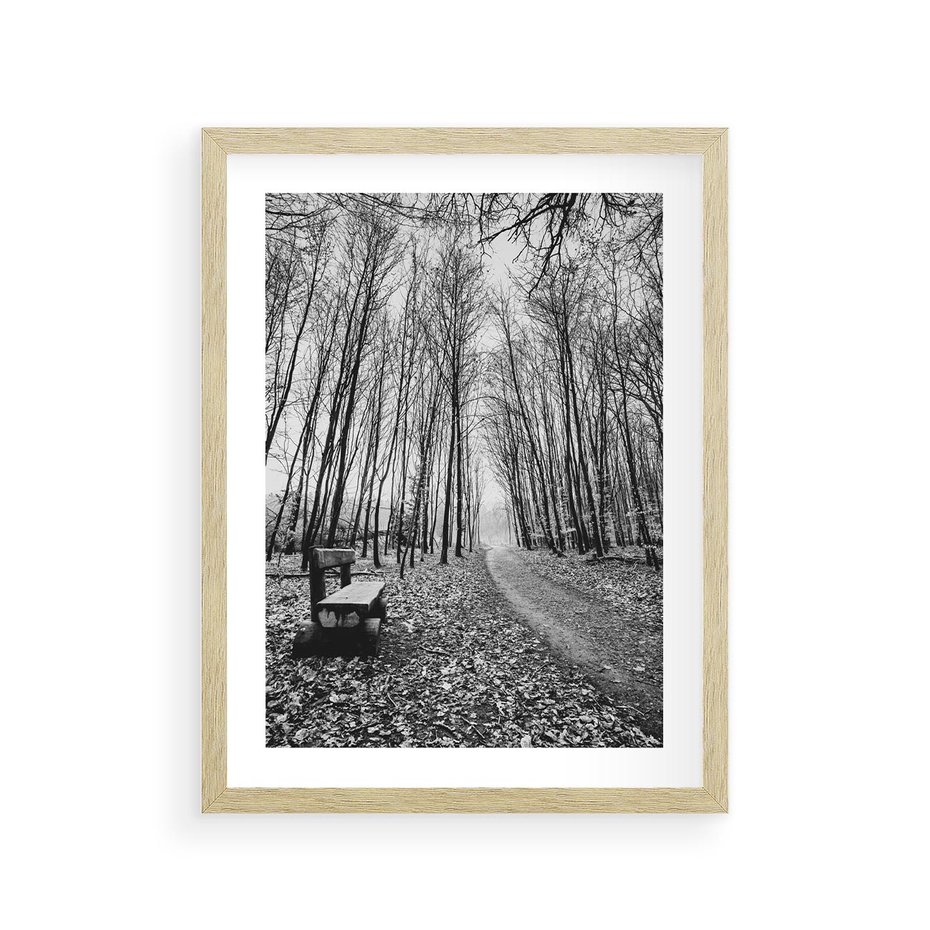 Plakat w ramie 30x40 - Spadające Liście - czarno białe zdjecie, park - rama drewno