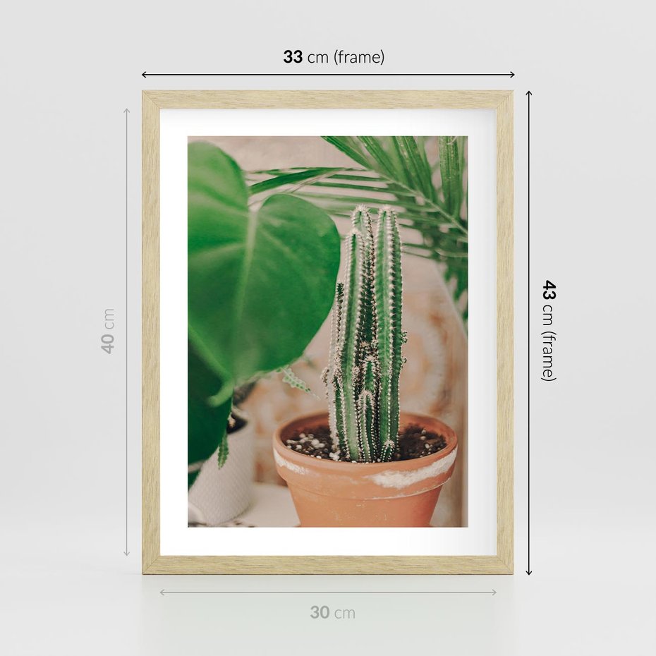 Plakat w ramie 30x40 - Boho Urok - kaktus w doniczce, gliniana doniczka - rama drewno