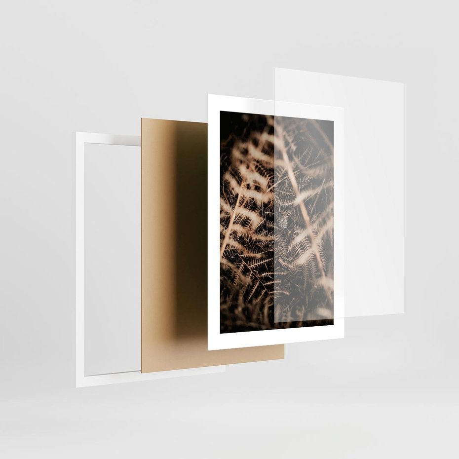 Plakat w ramie 30x40 - Liście i Paprocie - suche liście, paprocie - rama biała