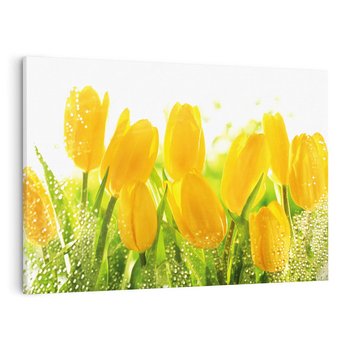 Obraz na płótnie 100x70 - Tulipany - szczyt kwiatowego piękna - tulipany, kwiaty