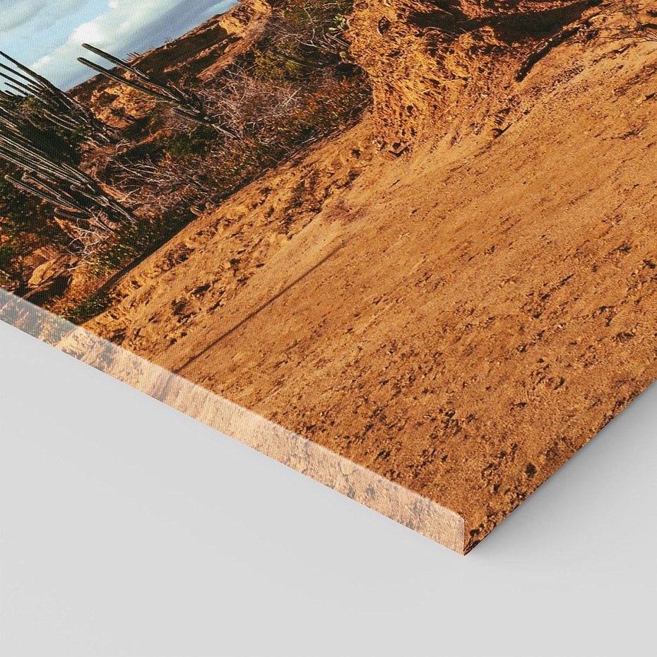 Obraz na płótnie 70x100 - Skarby Pustynnego Kanionu - pustynia, kaktusy