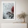 Plakat bez ramy 30x40 - Makro Magii Natury - dmuchawiec, zbliżenie makro