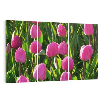 Obraz na płótnie 120x80 - Tulipanowa harmonia - tulipany, kwiaty