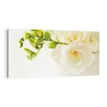 Obraz na płótnie 100x50 - Subtelność białych frezji - frezja, białe