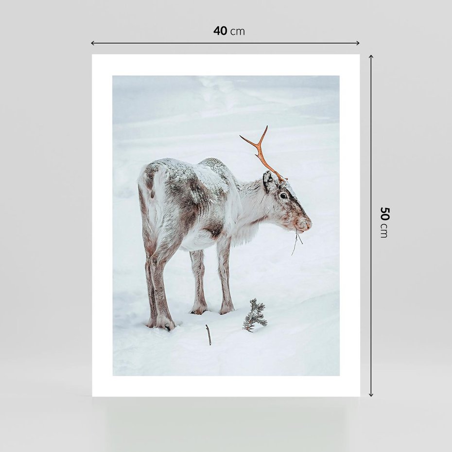 Plakat bez ramy 40x50 - Magia Świąt - renifer na śniegu, śnieg