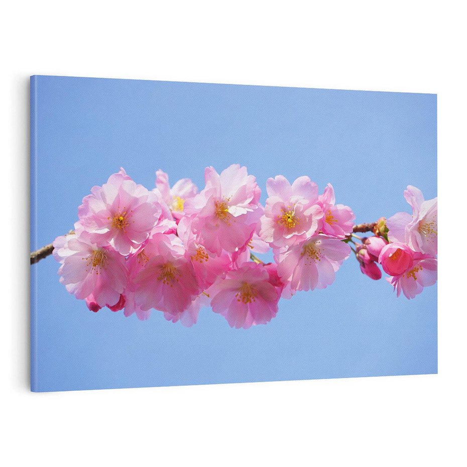 Obraz na płótnie 100x70 - Kwiatowy taniec kolorów - kwiat, kwiaty