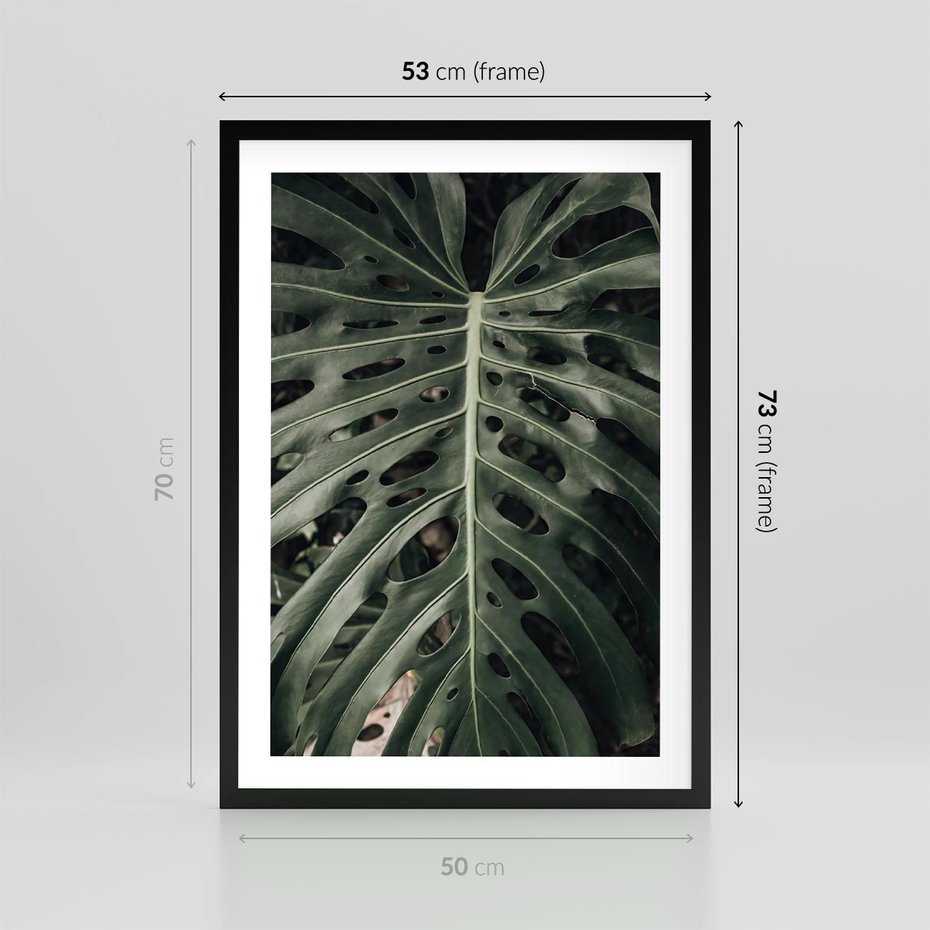 Plakat w ramie 50x70 - Majestatyczny Liść Monstery - liść monstery, majestatyczny liść - rama czarna