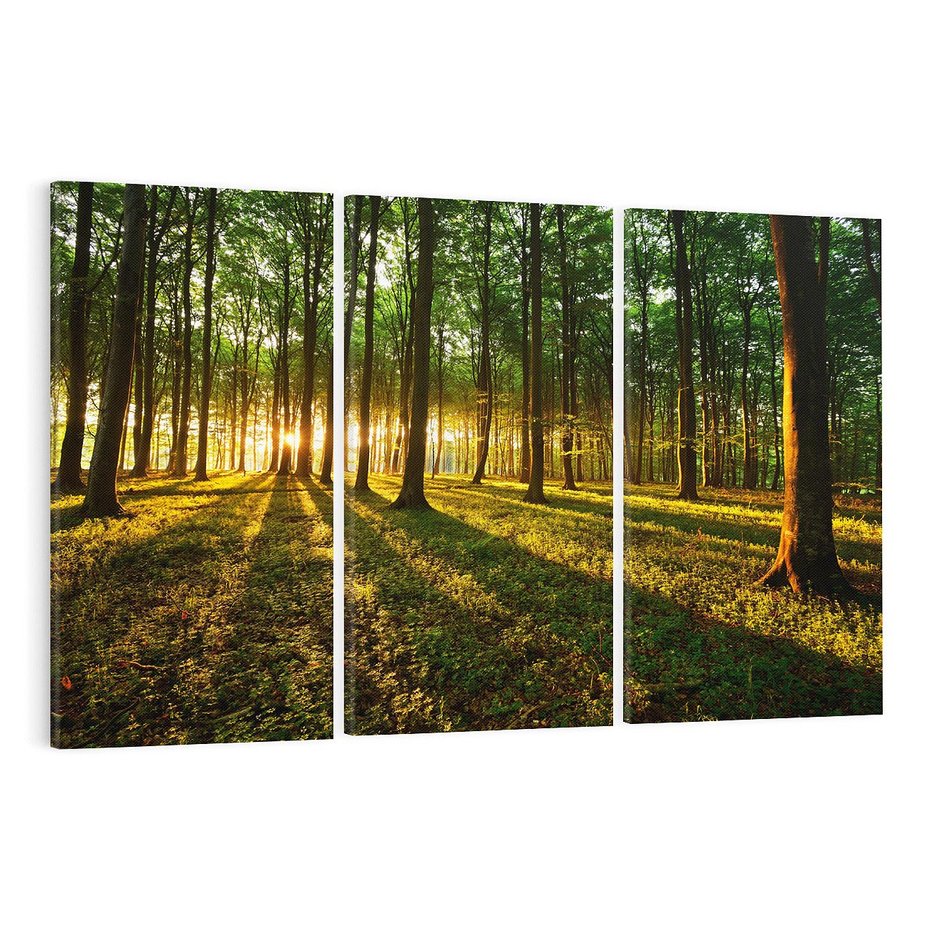Obraz na płótnie 120x80 - Mistyfikujący urok leśnej głuszy - las, drzewa