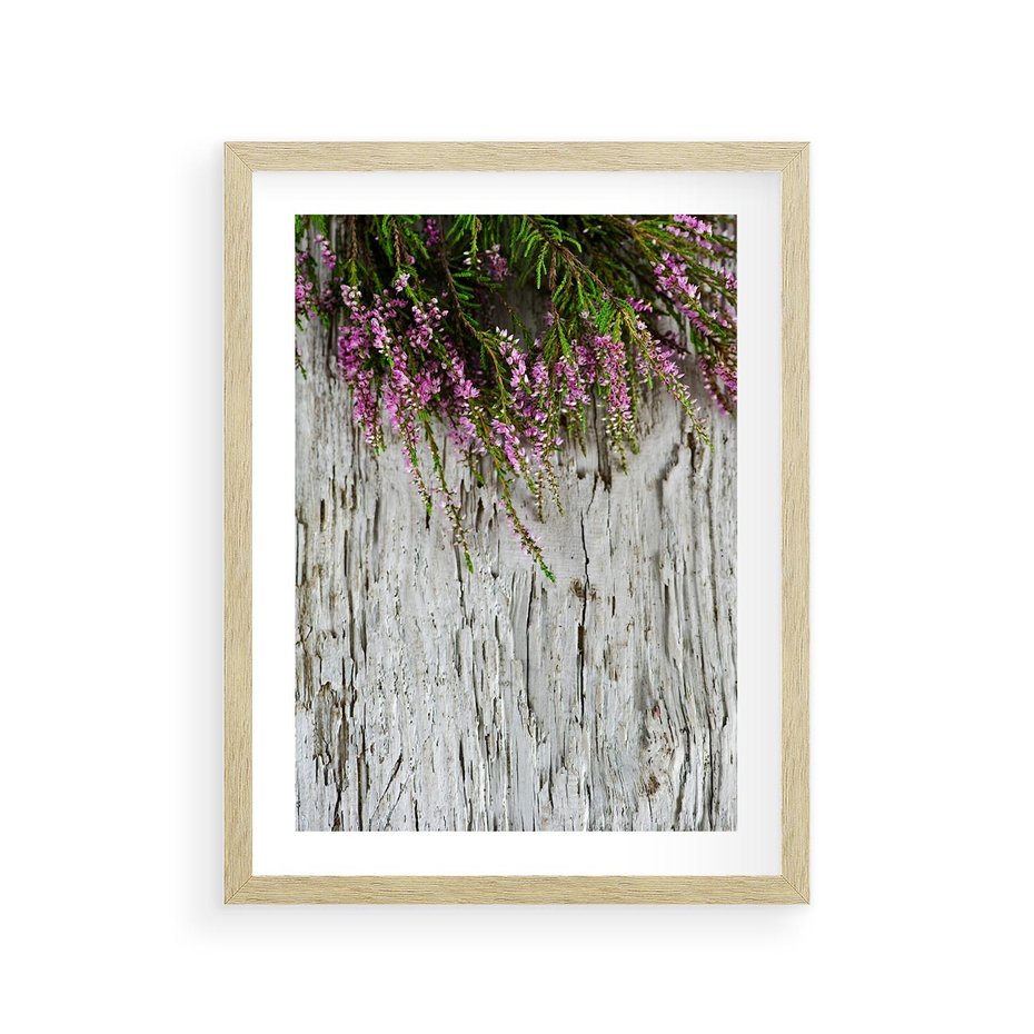 Plakat w ramie 30x40 - Fioletowe Wrzosy - wrzosy, fiolet - rama drewno