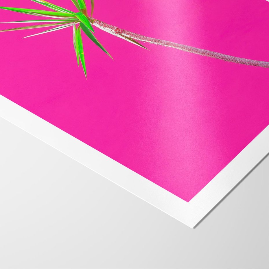 Plakat bez ramy 21x30 - Retro Stylizacja - palma, liście