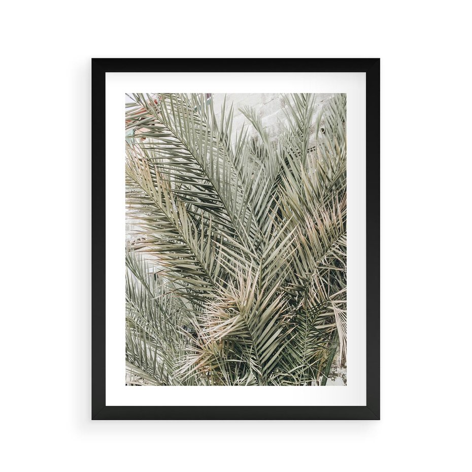 Plakat w ramie 40x50 - Egzotyczny Świat Palm - palmy, liście palmy - rama czarna