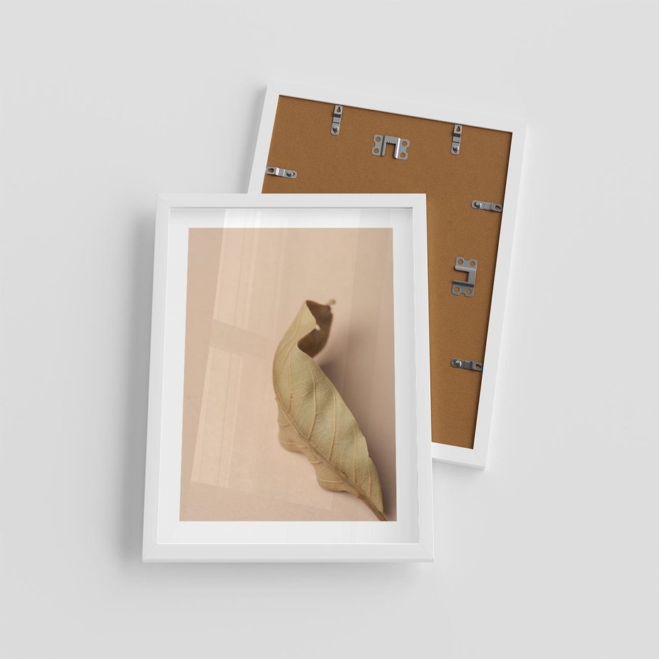 Plakat w ramie 30x40 - Boho suszone liście - suszony, liść - rama biała