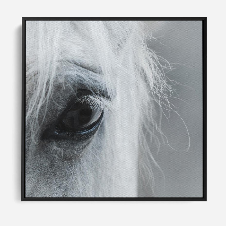 Obraz w ramie 50x50 - Oko Mocy - czarno białe zdjęcie, zbliżenie makro na oko konia - rama czarna