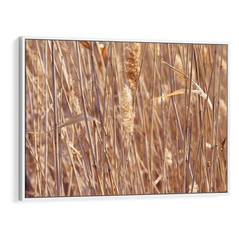 Obraz w ramie 120x80 - Mistrzowskie suche trawy - suche, trawy - rama biała