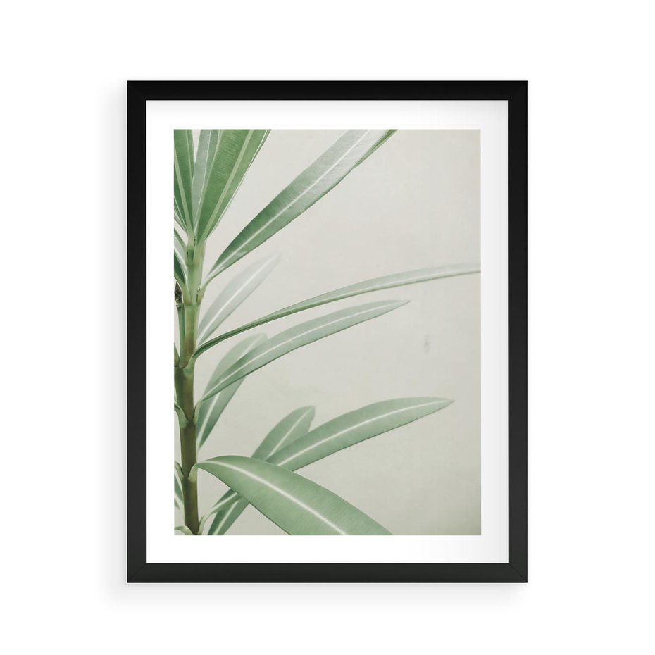 Plakat w ramie 40x50 - Minimalistyczna Tropikalna Harmonia - tropikalna roślina, zielone liście - rama czarna
