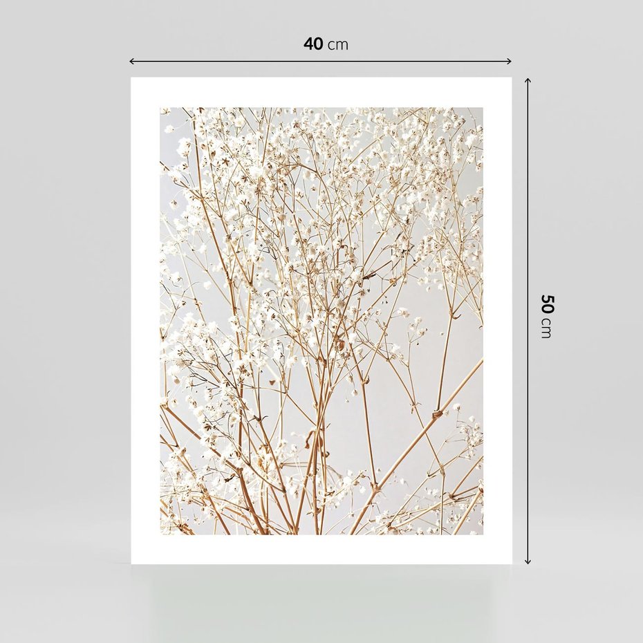 Plakat bez ramy 40x50 - Minimalistyczna Delikatność - białe kwiaty, gipsówka