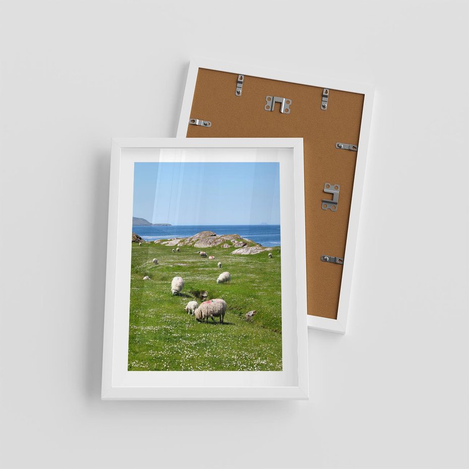 Plakat w ramie 30x40 - Górskie Owce - góry, owce - rama biała