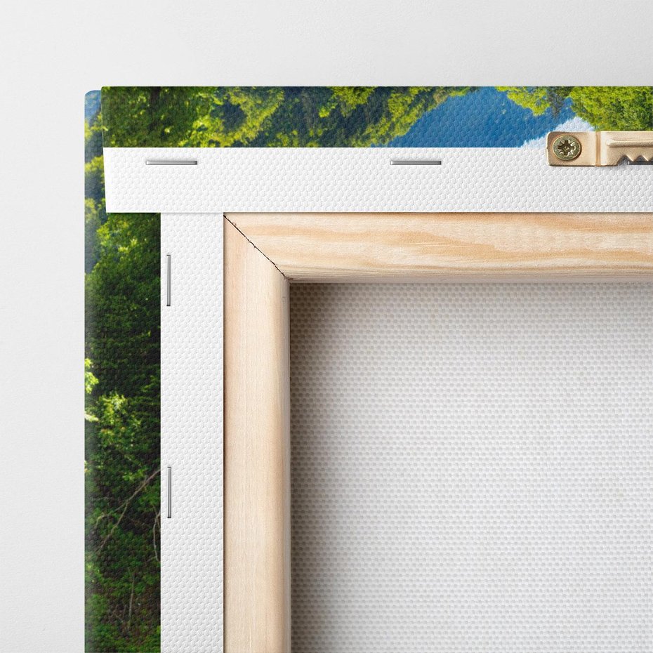 Obraz na płótnie 70x100 - Górski strumyk - strumyk, góry