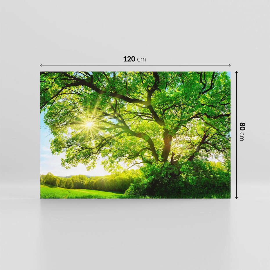 Obraz na płótnie 120x80 - Natura w pełnym rozkwicie - drzewo, niebo