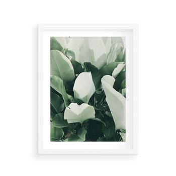 Plakat w ramie 40x50 - Zgaszona Uroda Natury - zielone liście, zgaszona zieleń - rama biała