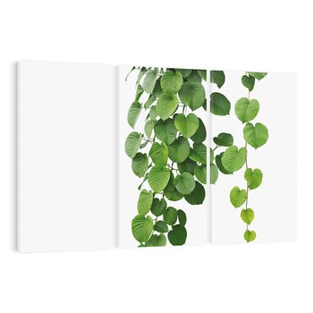 Obraz na płótnie 120x80 - Świeżość Natury - liście, zielone