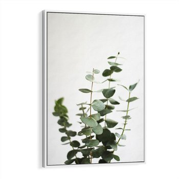 Obraz w ramie 80x120 - Żywa eukaliptusowa zieleń - eukaliptus, zielone - rama biała