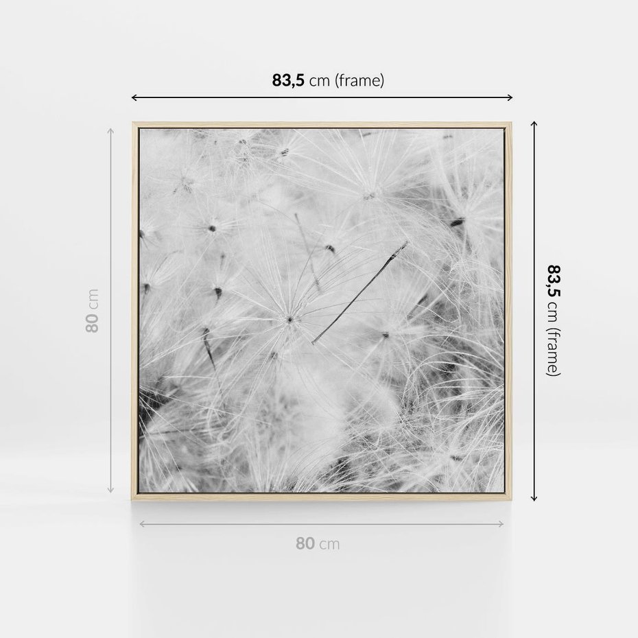 Obraz w ramie 80x80 - Zdmuchnięty Puch - dmuchawce, delikatne - rama drewno