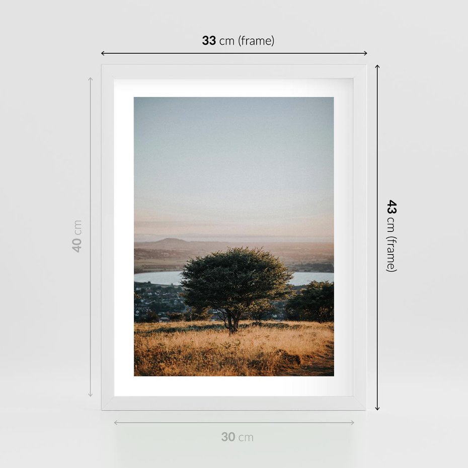 Plakat w ramie 30x40 - Siła Natury - drzewo, pejzaż - rama biała