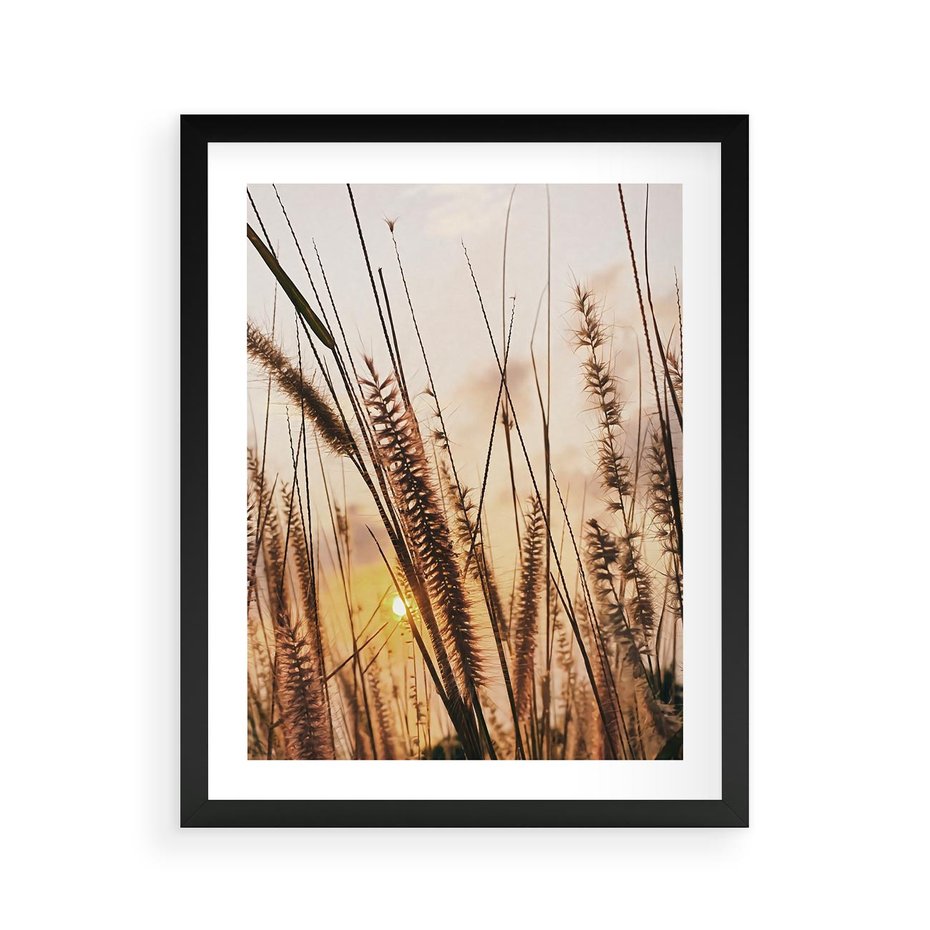 Plakat w ramie 40x50 - Malownicza Łąka z Trawam - trawy, łąka - rama czarna