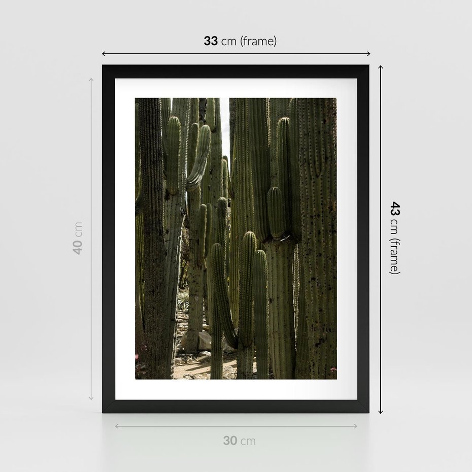 Plakat w ramie 30x40 - Wyjątkowy Klimat Boho - kaktusy, pustynia - rama czarna