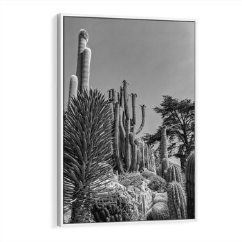 Obraz w ramie 50x70 - Pustynny Klimat - czarno białe zdjecie, pustynia - rama biała