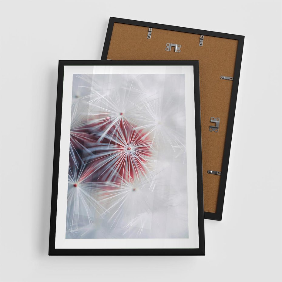 Plakat w ramie 50x70 - Minimalistyczna Delikatność - zbliżenie, dmuchawce - rama czarna